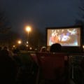 Outdoor screening - student