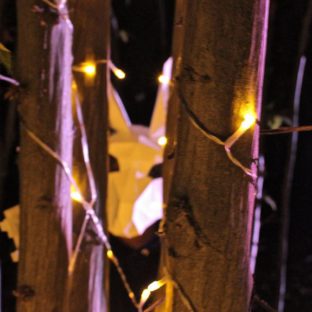 22894382_1844689962227699_6082448501623041670_n