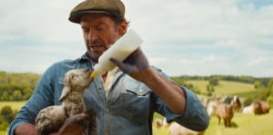 A man feeding a baby sheep